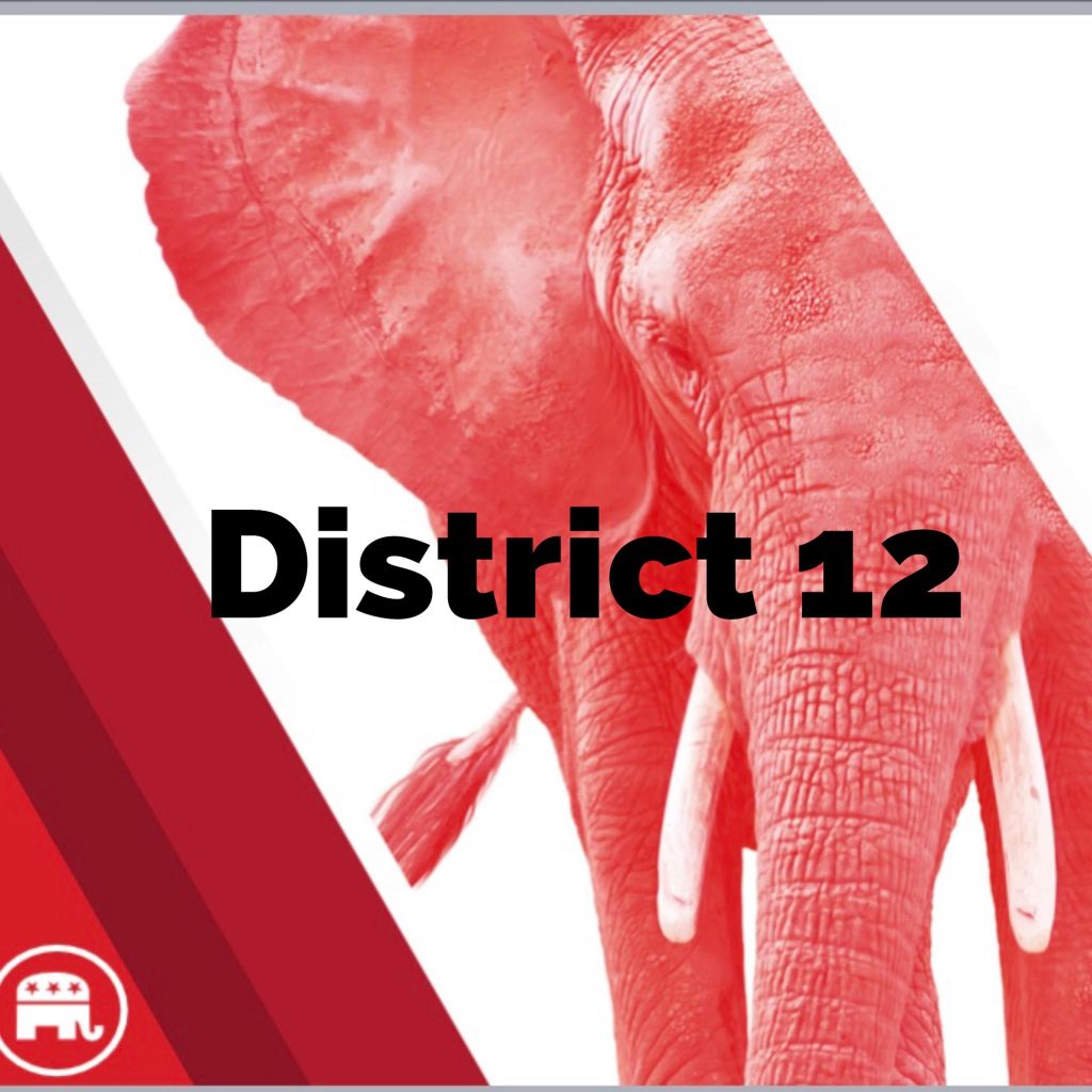 Republican Party logo for District 12